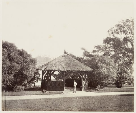113 Botanic Gardens SH 598, 1872