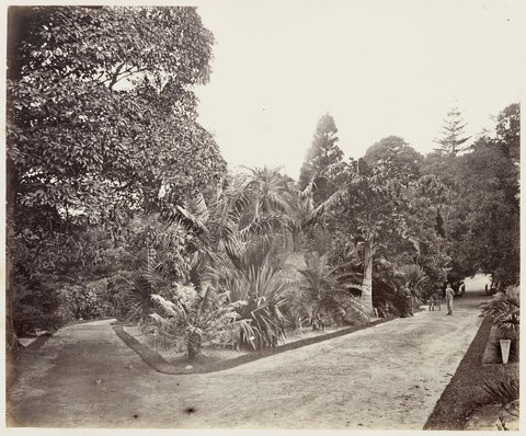 116 Botanic Gardens SH 598, 1872
