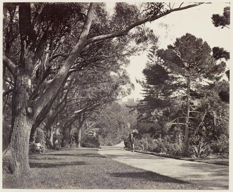 115 Botanic Gardens SH 598, 1872