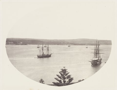 137 The Harbour Panoramic SH 648, 1872