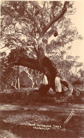 The Wishing Tree Cronulla, 1900–27