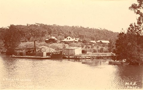 A Riverside Orchard Lane Cove, 1900–27