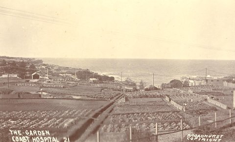 The Garden Coast Hospital, 1900–27