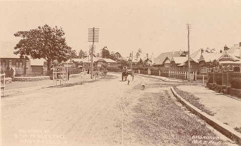 Dalhousie St amp The Princes Tree Haberfield, 1900–27