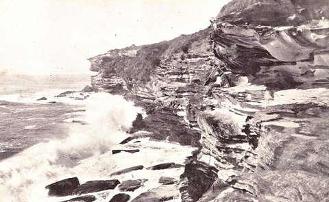 Longnose South Head of Botany Bay, 1900–27