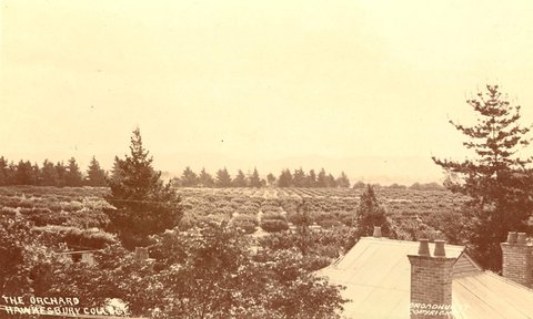 The Orchards Hawkesbury College, 1900–27