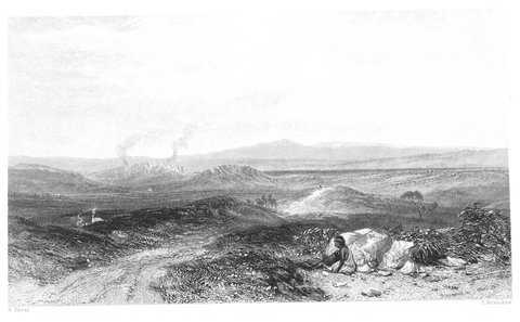BOOTH(1873) 2.320 VIEW NEAR BOTANY BAY