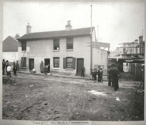 Views taken during Cleansing Operations, No.'s 1-5 Blackburn Street, Sydney (NSW), 1900