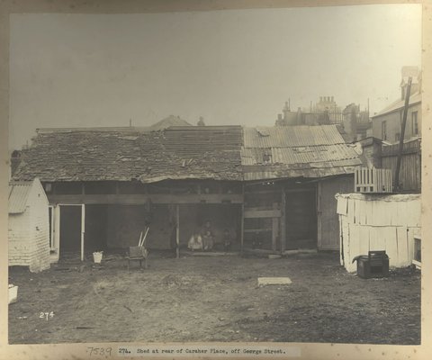 Views taken during Cleansing Operations, Quarantine Area, Shed at rear of Caraher Place, off George Street, Sydney (NSW), 1900