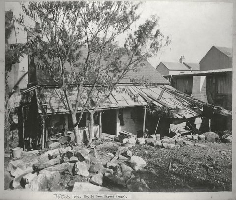 Views taken during Cleansing Operations, Quarantine Area, Rear of No.36 Owen Street, Sydney (NSW), 1900