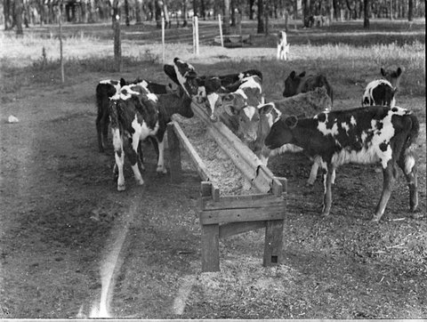 Gilbulla Moreton Park Road Menangle, 1939