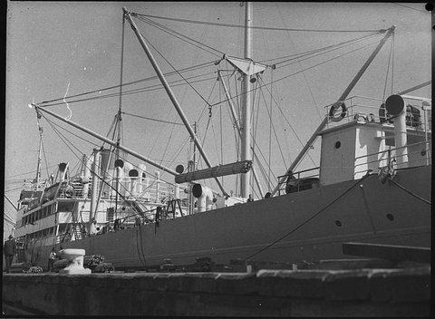 Parakoola series, 1953