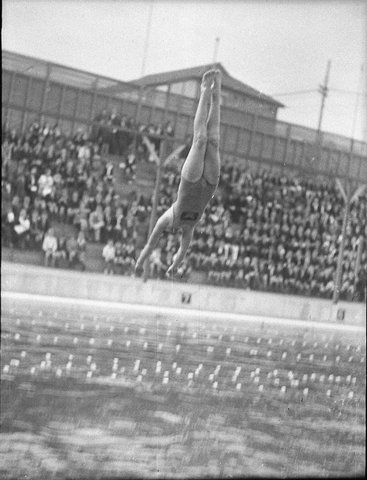 A dive off the highboard Colleges swimming at Drummoyne, 1935