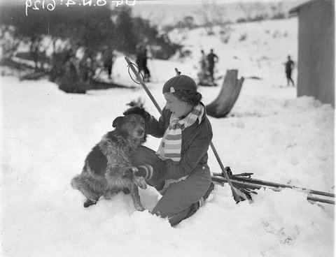 A woman skier patting one of the Alpine dogs, 1930s