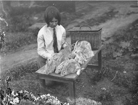 A young girl with 10 pet rabbits, 1930s