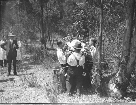 Ambulance Shield, c. 1936