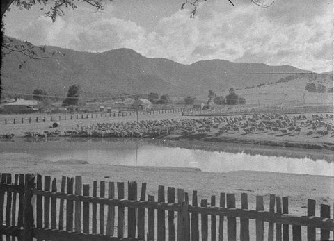 Araluen, 1925–57