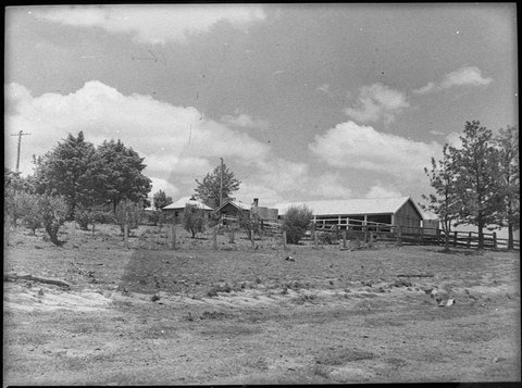 Barrington Lights ie Heights, 1952