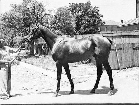 Beau Livre owner Mr Harmer taken for Sporting Globe, 1940