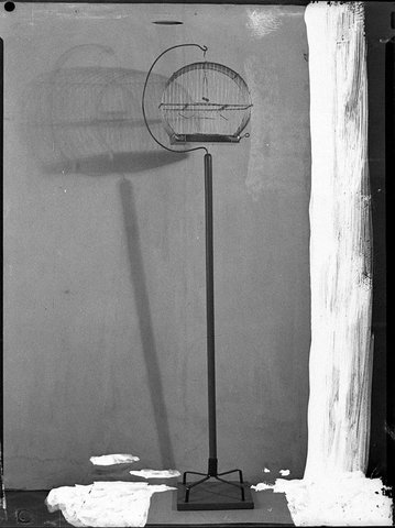 Birds cage taken in studio, 1939