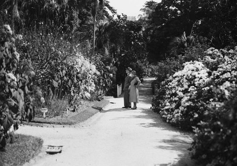 Botanic Gardens scene, 1934