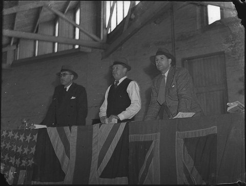 Cattle sales Mrs HC McIntyre and friends, 1945