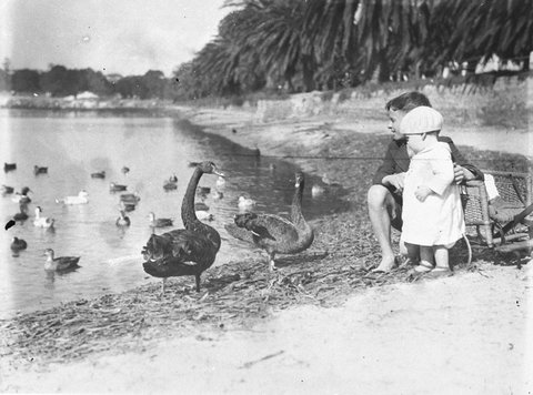 Children with black swans and ducks in Centennial Park, c. 1934