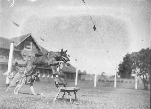 Demonstrating tricks, c. 1934