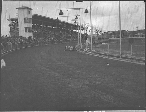 Dog races, 1953