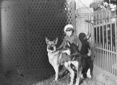 Dog show at Marrickville Little girl with two Alsatian dogs, 1934