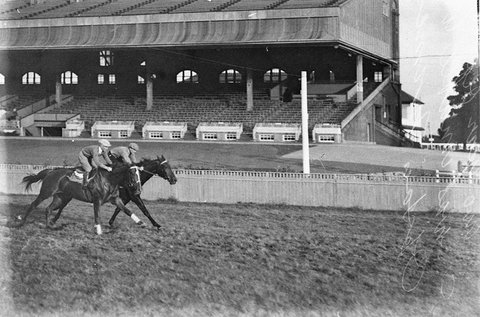 Early morning gallops of twoyear olds, 1934