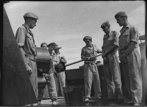 Forts guns in action, 1955