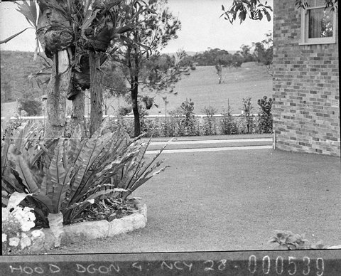 Garden of Mr Adams brick house Roseville, 1937
