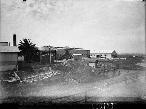 General view of the scouring and fleecing works Australian Wool Products Ltd wool treatment fleecing works, 1940
