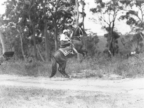 Girl riders horse rears up, c. 1929
