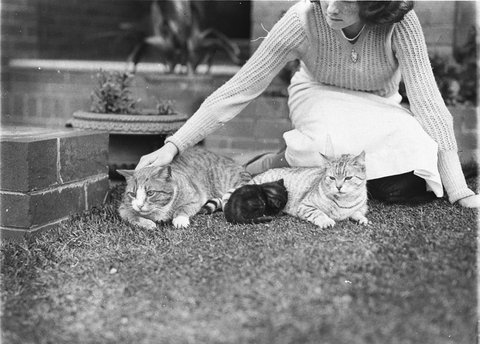 Girl with two cats and a kitten, c. 1929