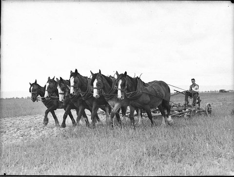 Hawkesbury College presentation for Rural Bank, 1936