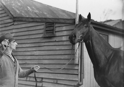 Head of a racehorse, 1934