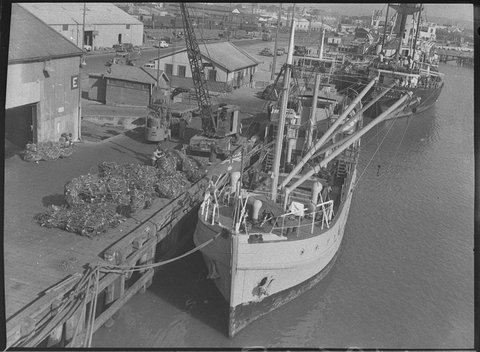 HMAS Woomera, 1955
