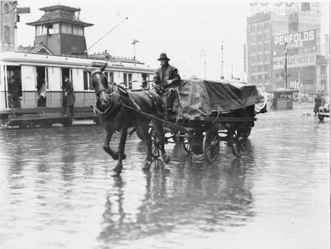 Horse pulling a dray shows its dislike of the weather, c. 1932