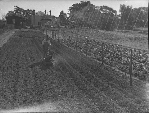Howard Auto Cultivators rotary hoes Burnside Homes, 1947