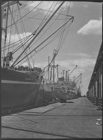 Idle port, 1954