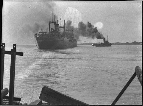 Iron Kimberley on mud bank, 1956