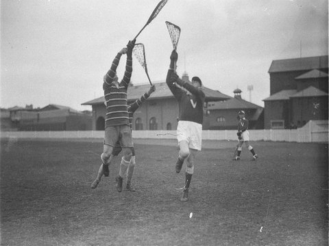 Lacrosse, 1933–34