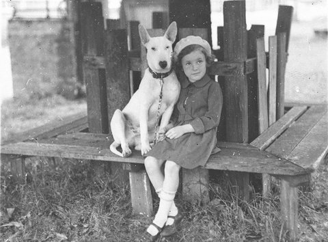 Margaret Shaffhauser with bull terrier dog at the Canine Association Show, 1934