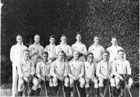 NSW Lacrosse Team Waratah badge, 1930s