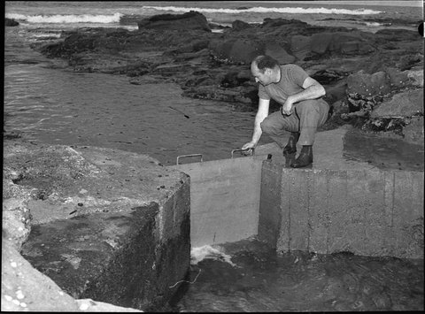 Ocean Baths, 1956