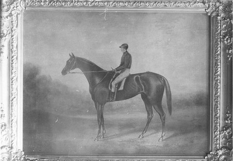 Painting of champion racehorse Veno 1857