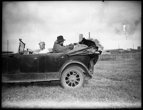 Police Dog Tess, 1935