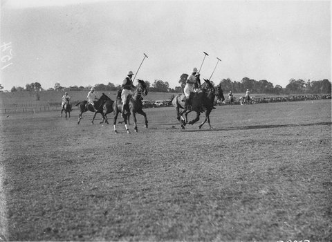 Polo at Cobbitty, 1930s